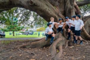 St Marys Cathedral Catholic College Sydney students talking under a tree
